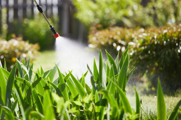 24/7 Emergency Wasp Removal experts in Beecher, IL