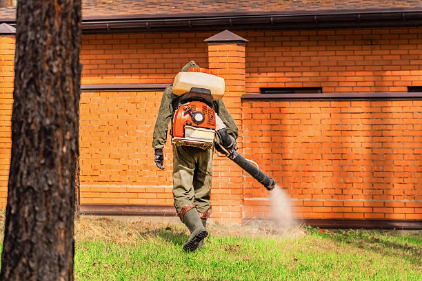 Top rated local Wasp Removal specialists in Beecher, IL